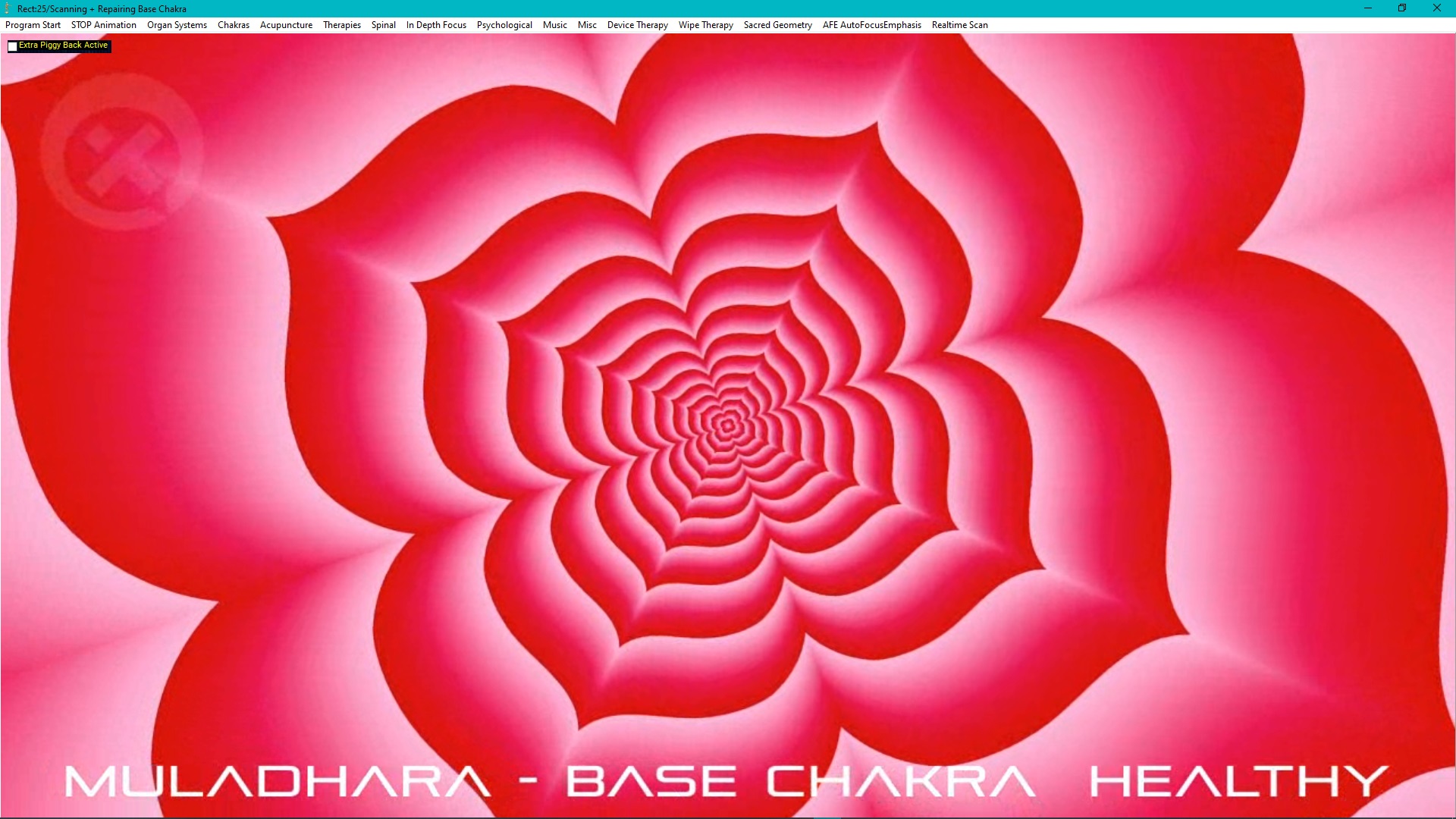 Programma dei Chakra